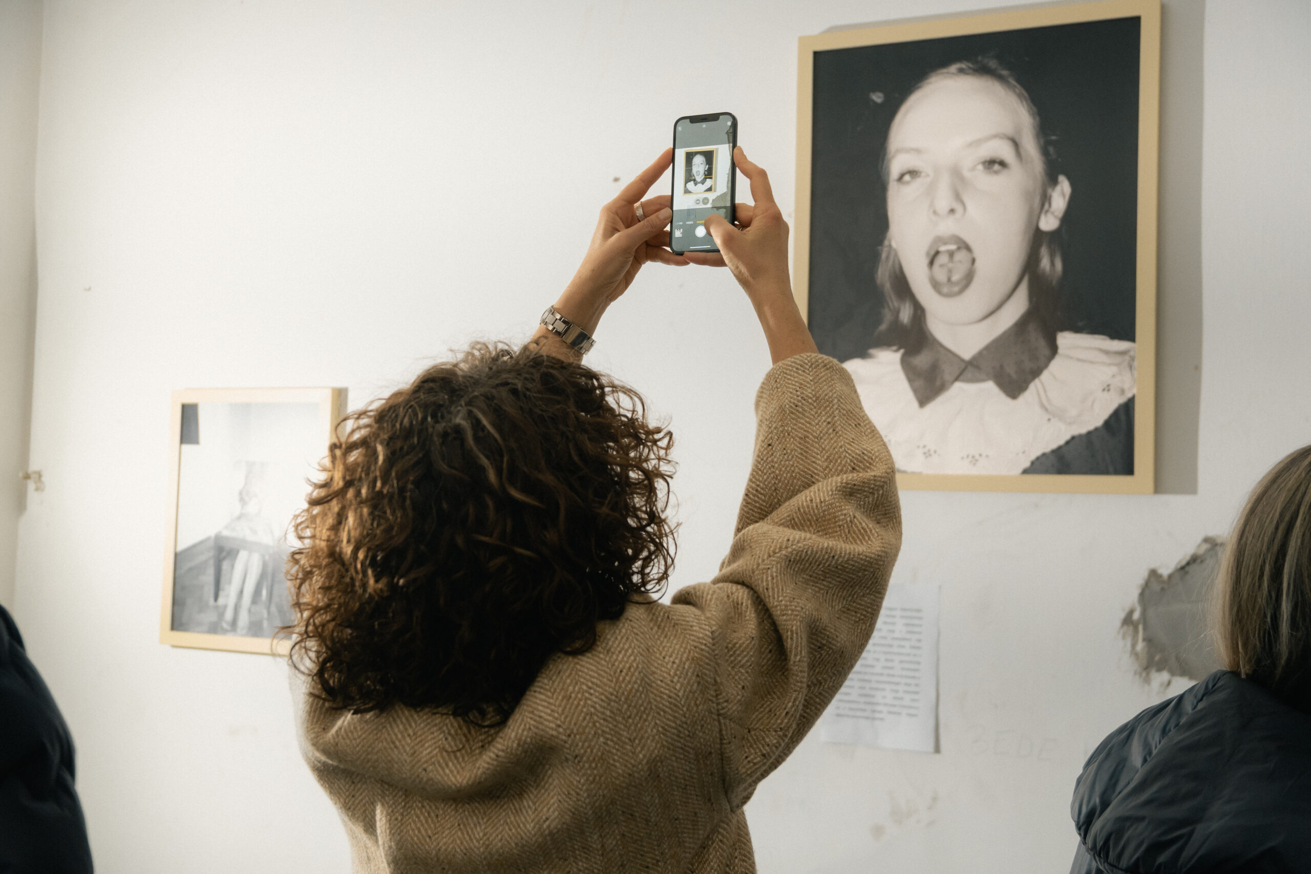 Művészeti és közéleti projektek